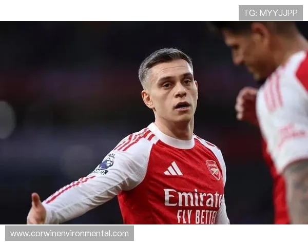 不是核心却不可或缺：特罗萨德的独特定位