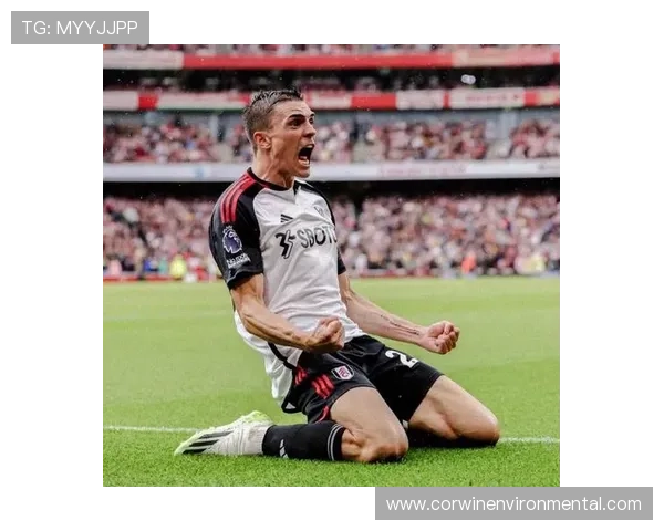 帕利尼亚在葡萄牙国家队主力后腰地位解析