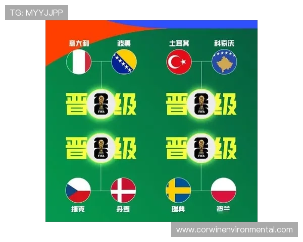 波黑冲击2026世界杯:晋级前景、阵容解析与出线形势分析 波黑冲击2026世界杯:晋级前景、阵容解析与出线形势分析